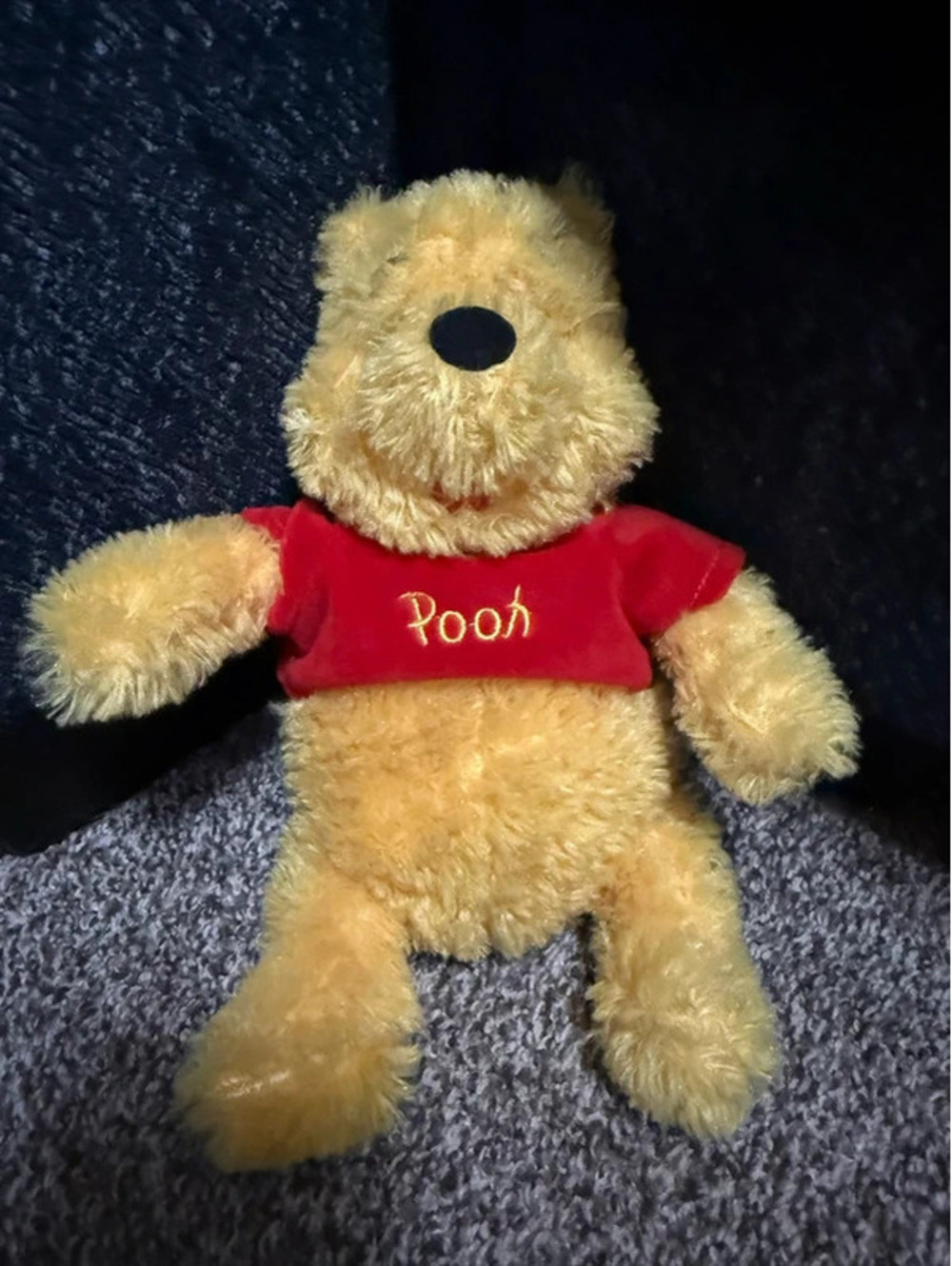 Disney Parks Authentic Original Winnie the Pooh Plush Red Shirt Stuffed Bear